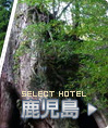 九州スペシャル　ホテルから選ぶ鹿児島ツアー