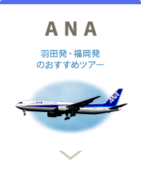 ANA全日空で行く沖縄ツアー