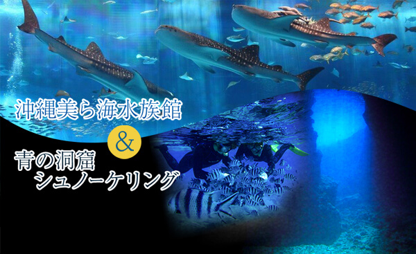 沖縄美ら海水族館＆青の洞窟ボートシュノーケリング付きツアー