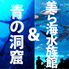 沖縄美ら海水族館＆青の洞窟ボートシュノーケリング付きツアー