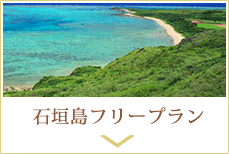 石垣島フリープラン
